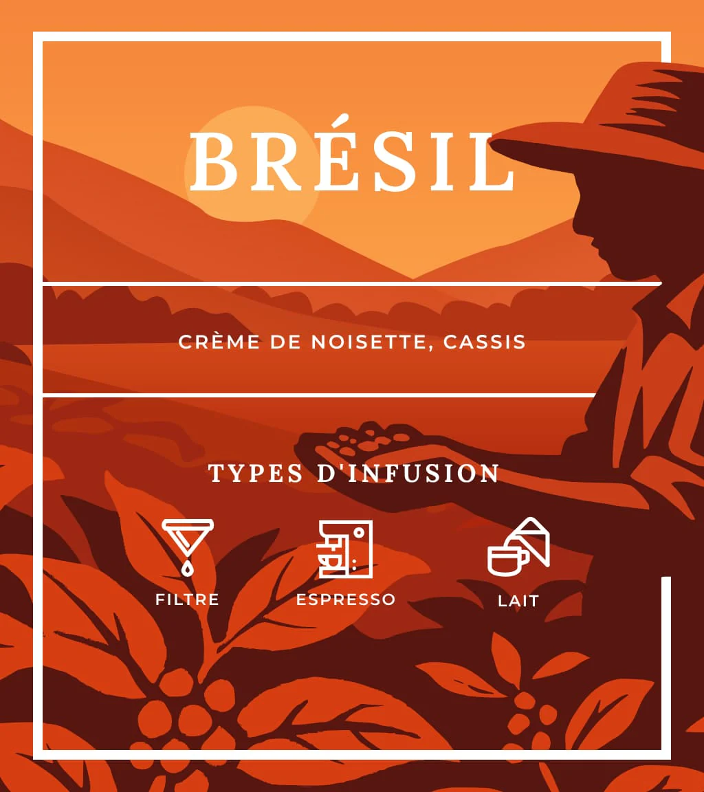 Brésil - Image 5