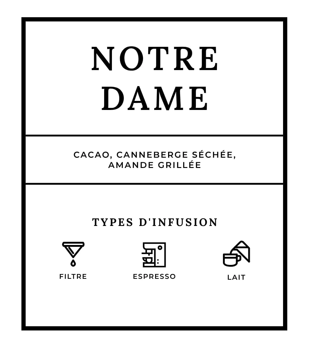 Notre-Dame (décaf) - Image 5