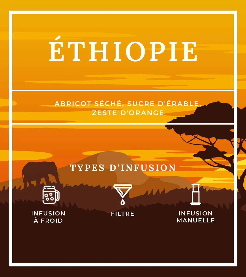 Éthiopie - Image 5