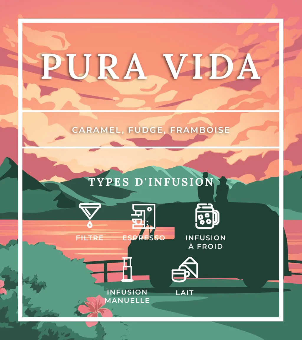 Pura vida - Image 5